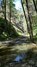 Ford in the Platy Valley