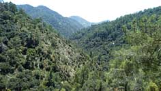 Platy Valley