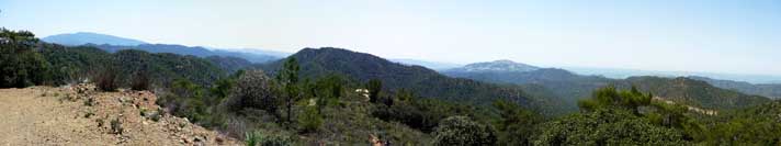 Stavros tis Psokas Forest