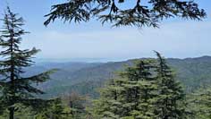 A View from Mount Tripylos