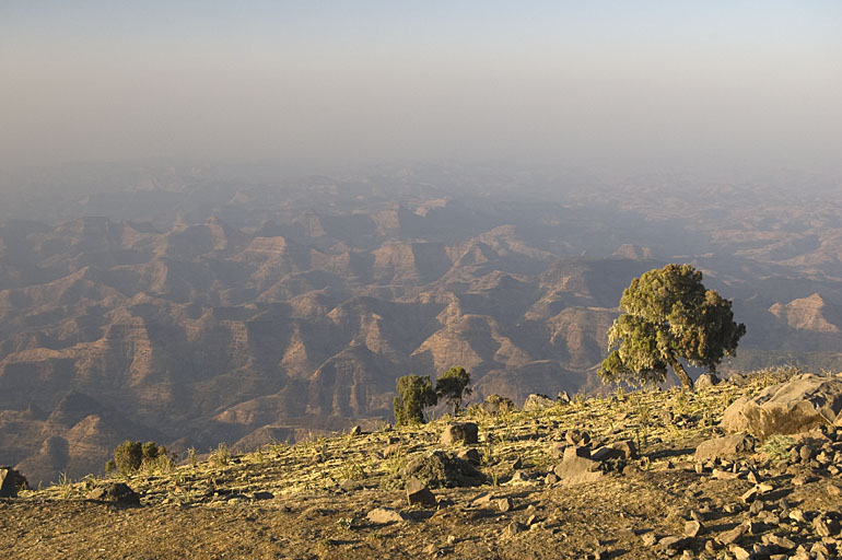 Simien Lowlands