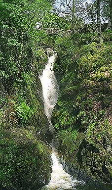 Aira Force