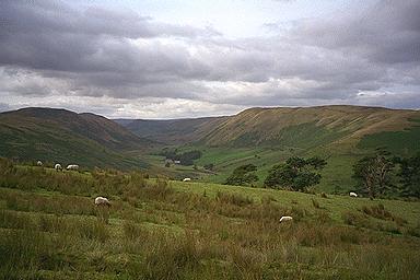 Lower Borrowdale from the Wooded Slopes