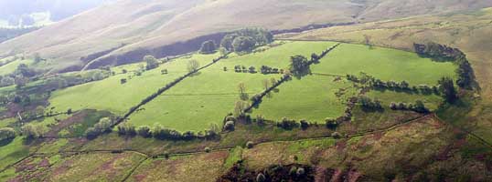 Coledale Fields