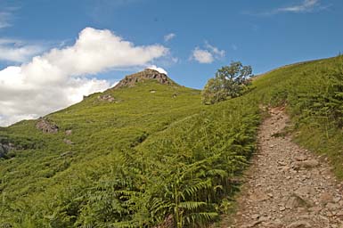 Grey Crag, Grasmere