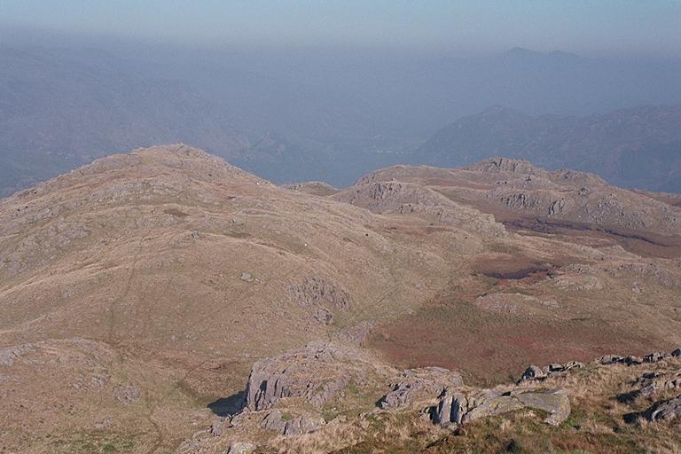 Bessyboot's Northern Prospect