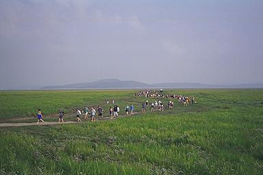 The Walk Ends at Kents Bank