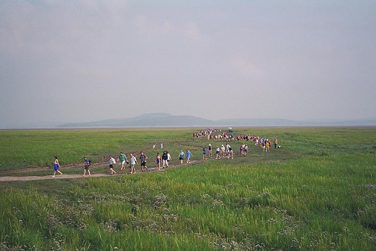 The Walk Ends at Kents Bank