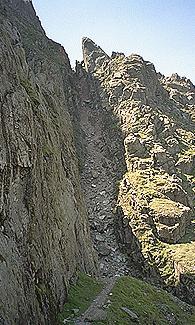 Lord's Rake
