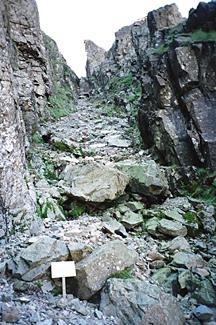 Lord's Rake