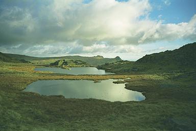 Lincomb Tarns