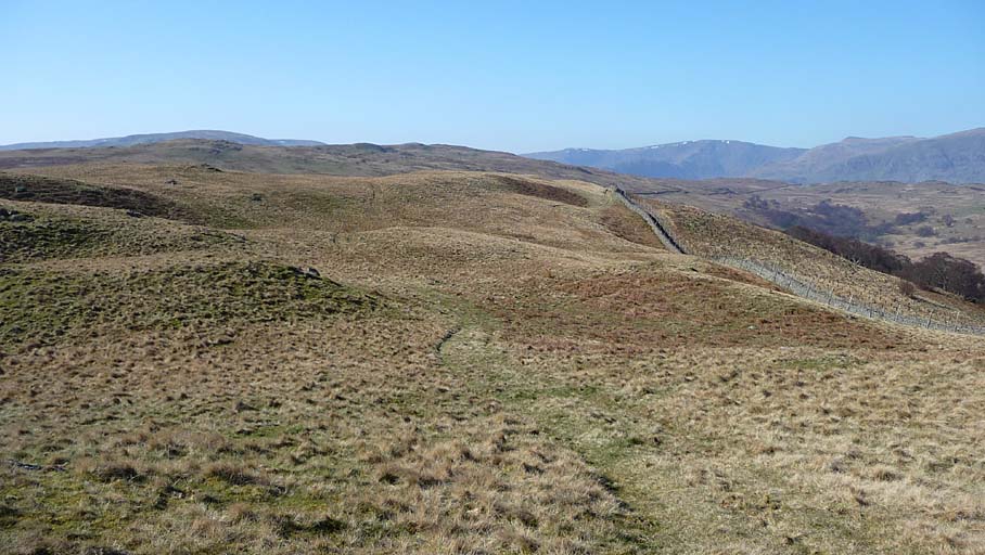 Powley's Hill from Harper Hills