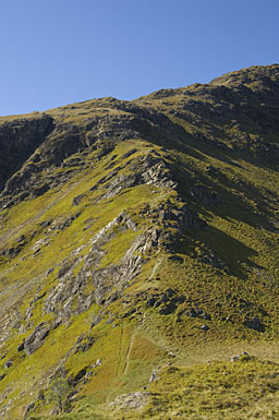 Rock Steps on Robinson