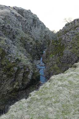 Ruddy Gill
