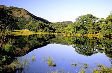 Rydal Water Near White Moss