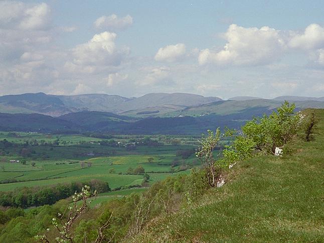 Scout Scar - Northern Prospect