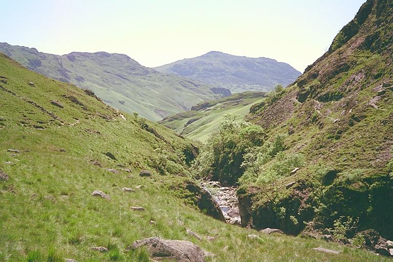 Throstle Garth from above Esk Falls
