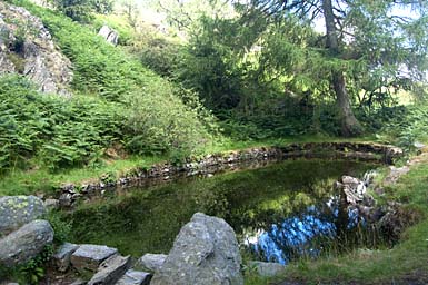 Unnamed Tarn, Brackenfell
