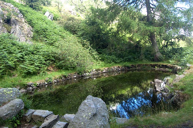 Unnamed Tarn, Brackenfell