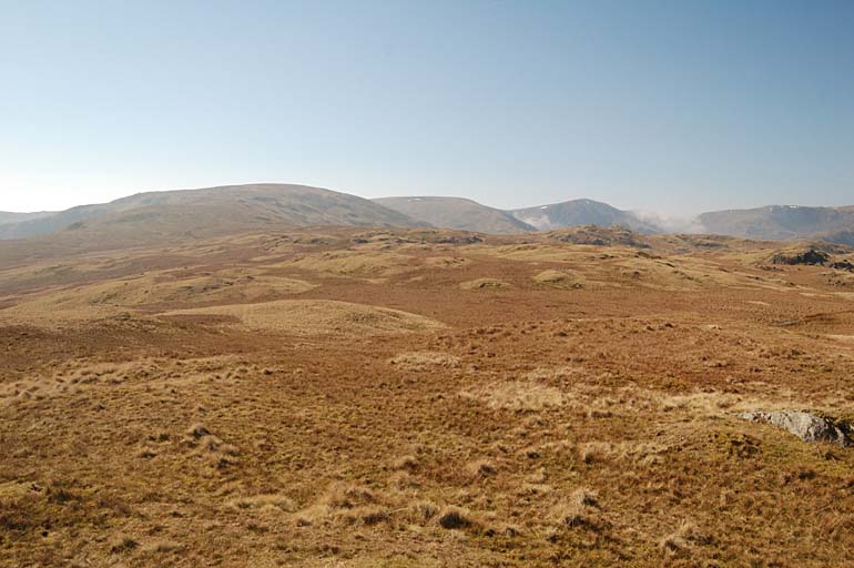 Hare Shaw - Southwestern View