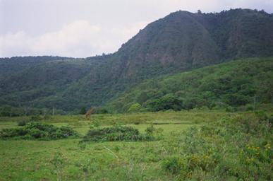 Plain Near Momela