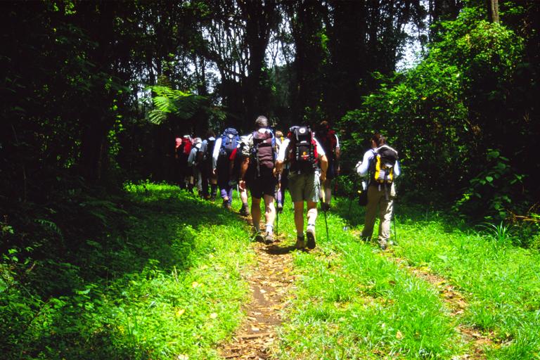 The Trail from the Umbwe Gate