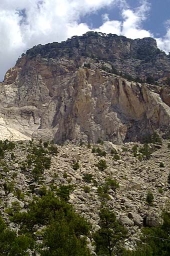 Beginning of the Trek