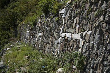 Llamas in Terrace Wall