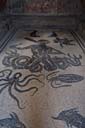 Mosaic floor of the Women's Apodyterium